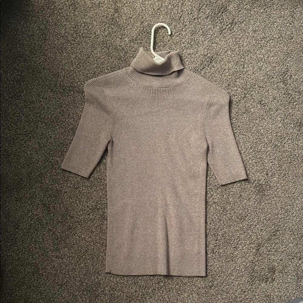 Express Mauve Turtleneck Sweater